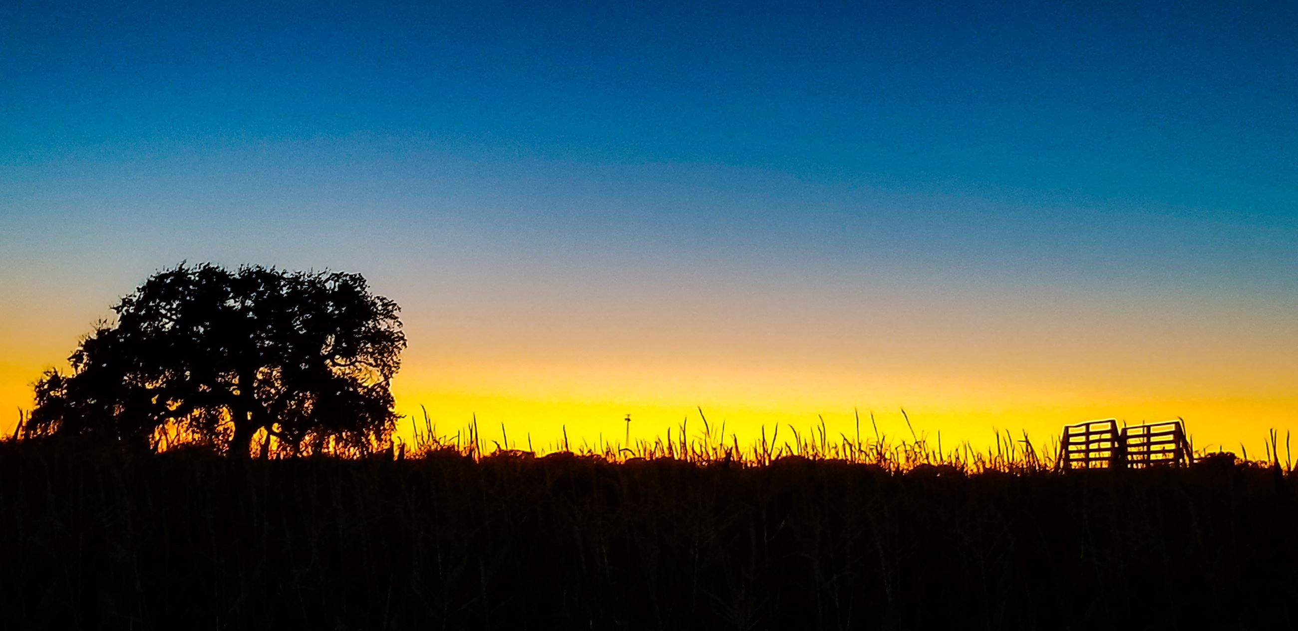 Show Us Your Hondo - Marisol Ramirez